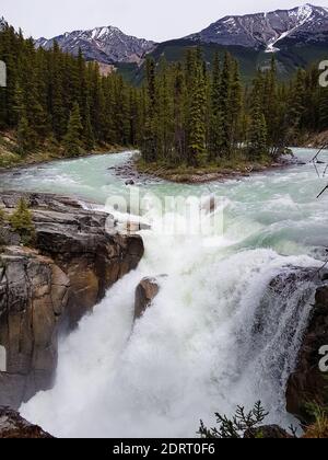 Sunwapta fällt in Alberta, Kanada. Niemand Stockfoto