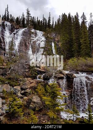 Tangle Creek Wasserfall in Alberta, Kanada. Niemand Stockfoto