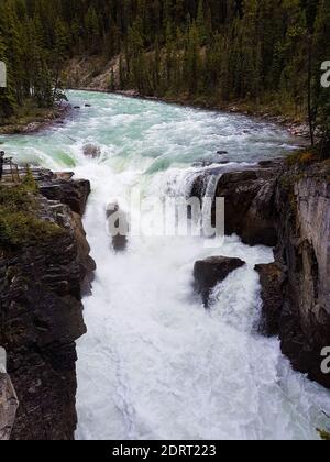 Sunwapta fällt in Alberta, Kanada. Niemand Stockfoto