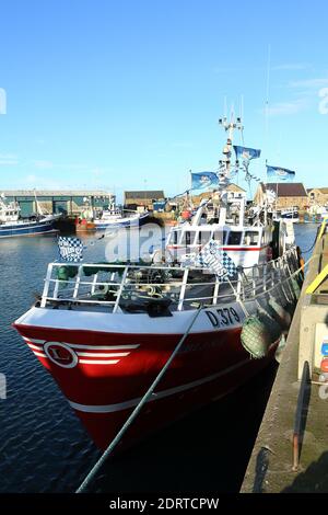 Fischerboote in Howth Harbor, Dublin, Irland Stockfoto