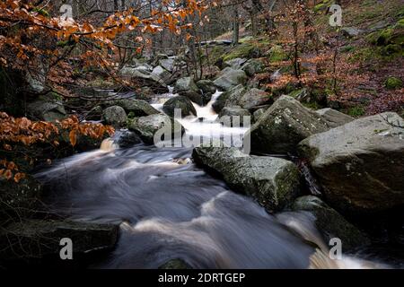 Padley Gorge im Herbst Winter fließendes Wasser Stockfoto