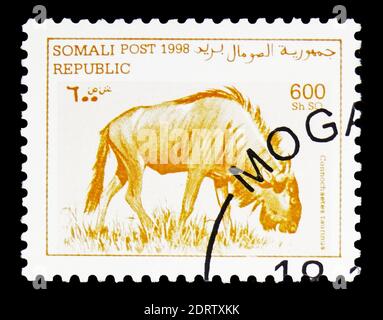 MOSKAU, RUSSLAND - 10. FEBRUAR 2019: Eine in Cinderellas gedruckte Briefmarke zeigt Blaues Gnus (Connochaetes taurinus), Somalia-Serie, um 1998 Stockfoto