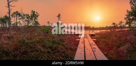 Sonnenuntergang über dem Großen Kemeri-Moor im Kemeri-Nationalpark bei Jurmala, Lettland. Leere Holzbank, wo Sie sich entspannen und den Blick auf den Sonnenuntergang genießen können Stockfoto