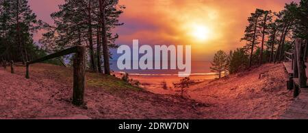 Panoramablick auf die Ostseeküste. Farbenfroher Sonnenuntergang über dem Meer mit Pinienbäumen Silhouette und Sandstrand. Stockfoto