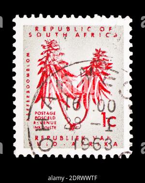 MOSKAU, RUSSLAND - 10. FEBRUAR 2019: Eine in Südafrika gedruckte Briefmarke zeigt Erythrina, definitive Ausgabe - Decimal Issueserie, um 1968 Stockfoto