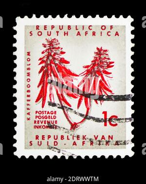 MOSKAU, RUSSLAND - 10. FEBRUAR 2019: Eine in Südafrika gedruckte Briefmarke zeigt Erythrina, definitive Ausgabe - Decimal Issueserie, um 1968 Stockfoto