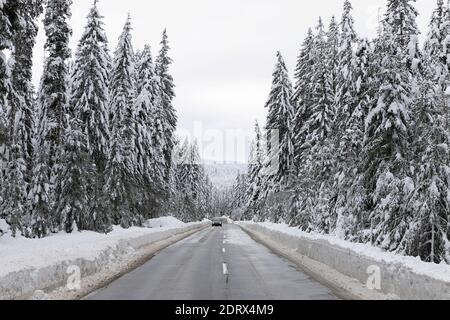 Schneebedeckte Bäume und ein Auto auf der Straße im Wald Stockfoto