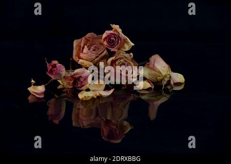Verblasste Rosen auf reflektierender Oberfläche Stockfoto
