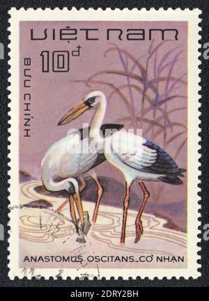 Eine in Vietnam gedruckte Briefmarke zeigt Asian Openbill (Anastomus oscitans), aus der Serie , 1980 Stockfoto