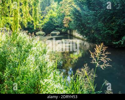 Die hübsche Steinbrücke über den Fluss Coln bei Ablington in den Gloucestershire Cotswolds. Stockfoto