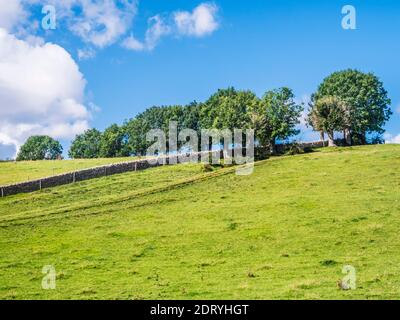 Hügelige Sommerlandschaft in den Gloucestershire Cotswolds. Stockfoto