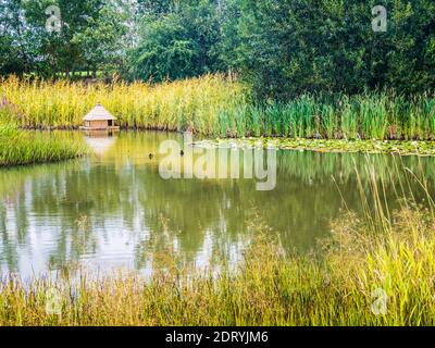 Ein Entenhaus auf einem Teich im Spätsommer. Stockfoto