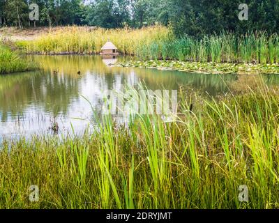 Ein Entenhaus auf einem Teich im Spätsommer. Stockfoto