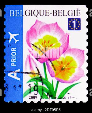 MOSKAU, RUSSLAND - 21. FEBRUAR 2019: Eine in Belgien gedruckte Briefmarke zeigt Tulip Bakeri Selfadh. Top Imperforate, Blumen Serie, um 2009 Stockfoto