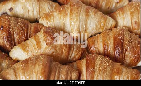 Eine Nahaufnahme von Mini-Croissants gefüllt mit Schokolade und Butter. Französische Küche Stockfoto