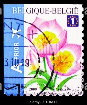 MOSKAU, RUSSLAND - 21. FEBRUAR 2019: Eine in Belgien gedruckte Briefmarke zeigt Tulip Bakeri Selfadh. Top Imperforate, Blumen Serie, um 2009 Stockfoto