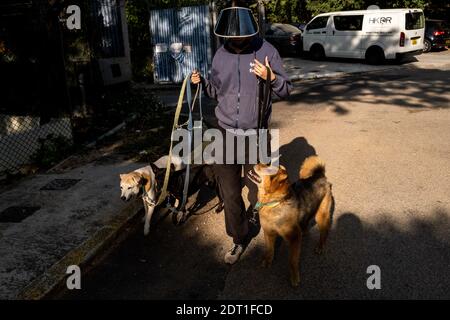 Das Zentrum von Tai wo der Hong Kong Dog Rescue Association, die Hunde aus Hong Kong Management-Zentren rettet und die Adoption fördert. Hongkong die Stockfoto