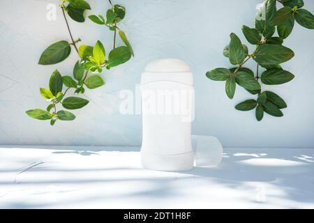 Trockenes Deodorant für Achselhöhlen an blau strukturierter Wand mit Grün Zweige und Schatten Stockfoto