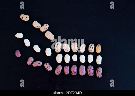 Bohne. Drei Arten von Bohnen sind ordentlich in einer Reihe auf einem schwarzen Hintergrund angeordnet. Getreide gesunde Ernährung Konzept. Stockfoto