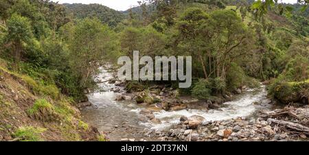 Fluss, der durch montanen Regenwald am Rande des Nationalparks Llanganates, an den Amazonas-Hängen der Anden, Ecuador, fließt. Stockfoto