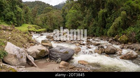 Fluss, der durch montanen Regenwald am Rande des Nationalparks Llanganates, an den Amazonas-Hängen der Anden, Ecuador, fließt. Stockfoto
