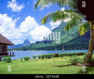 Kapitän Cook's Bay, Moorea, Tahiti, Französisch-Polynesien Stockfoto