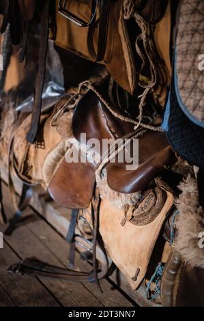 Dressurpferdeausrüstung, Ledersättel und Steigbügel hängen wunderschön an einer speziellen Wand. Stockfoto