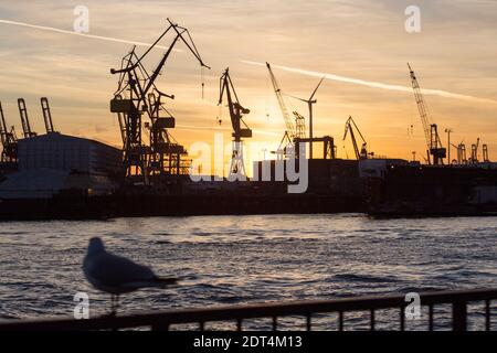 Die untergehende Sonne scheint hinter KrŠnen auf der Werft von Blohm + Voss, aufgenommen von der LandungsbrŸcken im Hamburger Hafen. Stockfoto