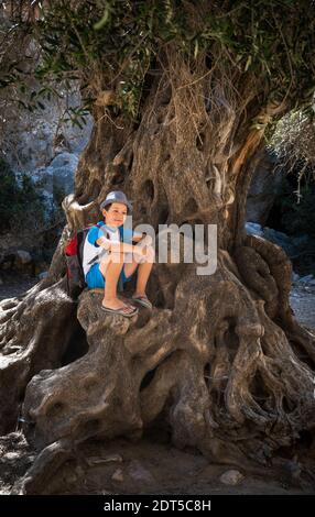 Vorderansicht des Jungen auf Baumstamm sitzen Stockfoto