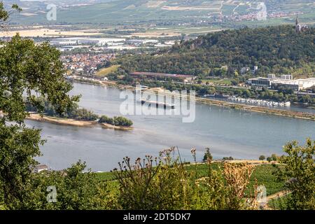 Blick auf die Weinberge am Rhein und auf die insel fulder aue im rhein bei rüdesheim Stockfoto