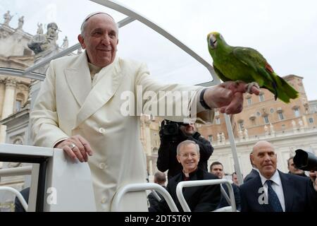 Papst Franziskus hält einen grünen Papagei namens Amore (Liebe auf italienisch), der ihm von einem Pilger während seiner wöchentlichen Generalaudienz im Vatikan am 29. Januar 2014 angeboten wurde. Franziskus segnete den Papagei gern und nahm den Vogel für ein paar Sekunden an den Finger. Der Papagei zerquetschte das Wort "Papa" (Papst auf Italienisch), als er auf dem Finger des Papstes thronte. Am vergangenen sonntag wurde eine weiße Taube, die aus einem Fenster des Vatikans entlassen wurde, von einer Möwe und einer Krähe umgebracht, so dass Papst Franziskus die Vogelwelt wieder gutgemacht hat. Foto von ABACAPRESS.COM Stockfoto