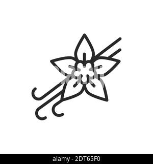 Vanilleschoten und Blume mit Beschriftung schwarze Linie Symbol. Vektorgrafik. Stock Vektor
