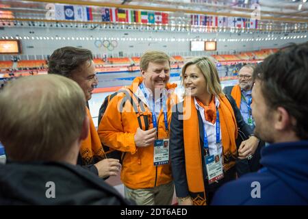 König Willem-Alexander und Königin Maxima aus den Niederlanden nehmen am 8. Februar 2014 an den Olympischen Winterspielen in Sotschi 2014 XXII im Eisberg Skating Palace in Sotschi, Russland, an der 5000-m-Kurzstrecke der Männer Teil. Die Olympischen Spiele 2014 in Sotschi finden vom 07. Bis 23. Februar 2014 statt. Foto von Gouhier-Zabulon/ABACAPRESS.COM Stockfoto