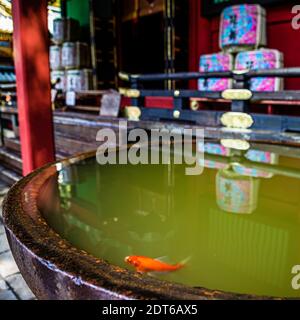 Kunozan Toshogu Schrein in Shizuoka, Japan Stockfoto