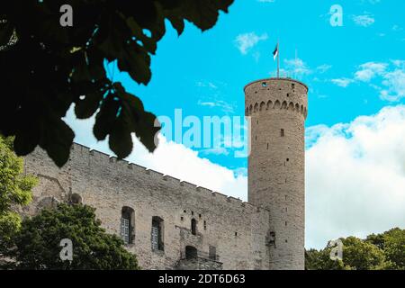 Detail über das historische Schloss Toompea im Zentrum der Hauptstadt Tallinn, Estland. Stockfoto