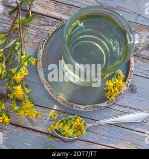 Goldrute, goldene Rute (Solidago virgaurea), Tee aus Blumen, Deutschland Stockfoto