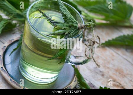 Brennnessel (Urtica dioica), selbstgemachtes Brennnesseltee, Deutschland Stockfoto