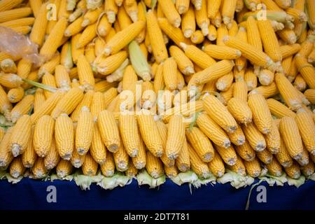 Viele organische frische Geschälte Körner als Essen Hintergrund Stockfoto