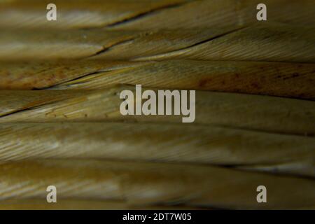 Wicker-Muster Stockfoto