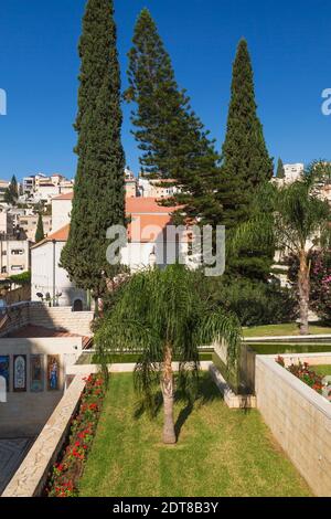 Garten mit Phoenix - Palmen, rotem Pelargonium - Geranienblumen und blühenden Sträuchern in erhöhten Rändern in einem Innenhof Stockfoto