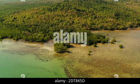 Tropische Insel mit Dschungel und Wald bedeckt, Fluss mit Mangroven, Luftbild. Balabac Island, Palawan, Philippinen Stockfoto
