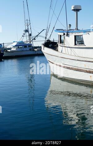 NEWPORT, OREGON - NOV 21, 2019 - Fischereiflotte in Yaquina Bay Hafen Marina in Newport, Oregon Stockfoto