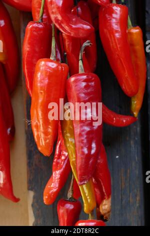Getrocknete rote Chilischoten hängen an einer Wand in Thimphu, Bhutan Stockfoto