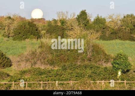 Ein Objekt, das aussieht wie der Mond steigt über den Kamm eines Hügels mit Bäumen und Sträuchern bedeckt. Blauer Himmel. Hintergrund Stockfoto