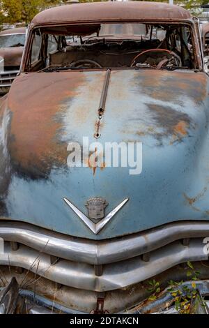Liquidation eines Autoschrottplatzes in Albuquerque, New Mexico Stockfoto