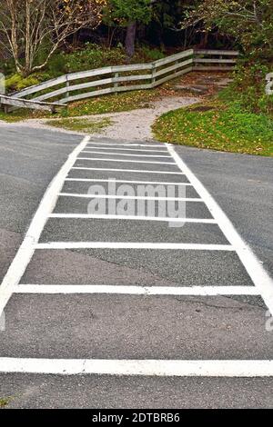 Ein gemalter Crosswalk über die zweispurige Autobahn im Fundy National Park New Brunswick Canada. Stockfoto