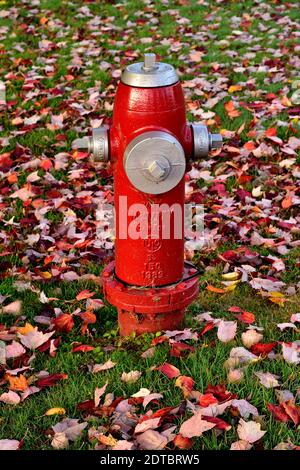 Ein vertikales Bild eines roten Hydranten auf einer grasbewachsenen Fläche mit heruntergefallenen Blättern auf dem grünen Gras. Stockfoto