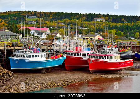 Ein horizontales Bild von farbenfrohen Fischerbooten an der Ostküste, die bei Ebbe an den Kai in Alma New Brunswick gebunden sind. Stockfoto