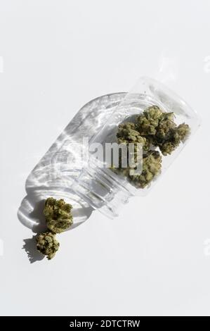 Studio Schuss von Cannabis Knospen im Glas Stockfoto