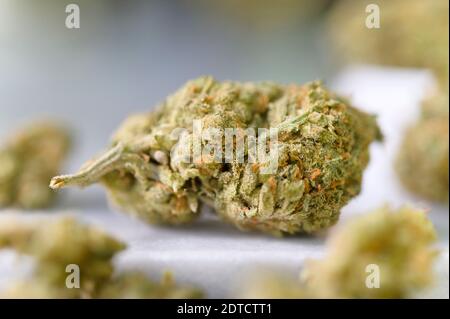 Nahaufnahme von Cannabisknospen Stockfoto